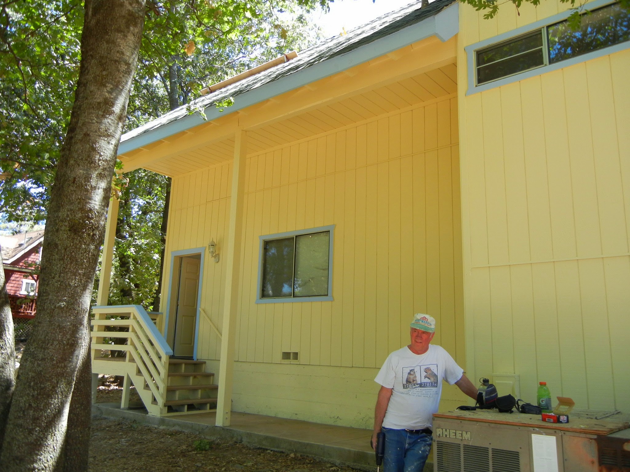 Painting services