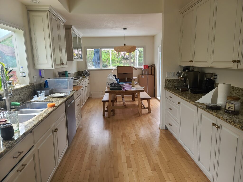 Kitchen Cabinet Painting