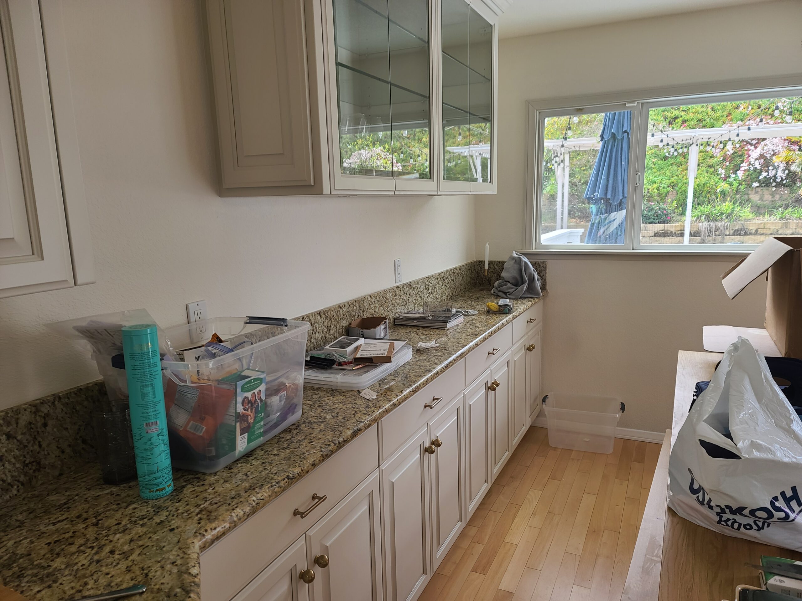 Kitchen Painting