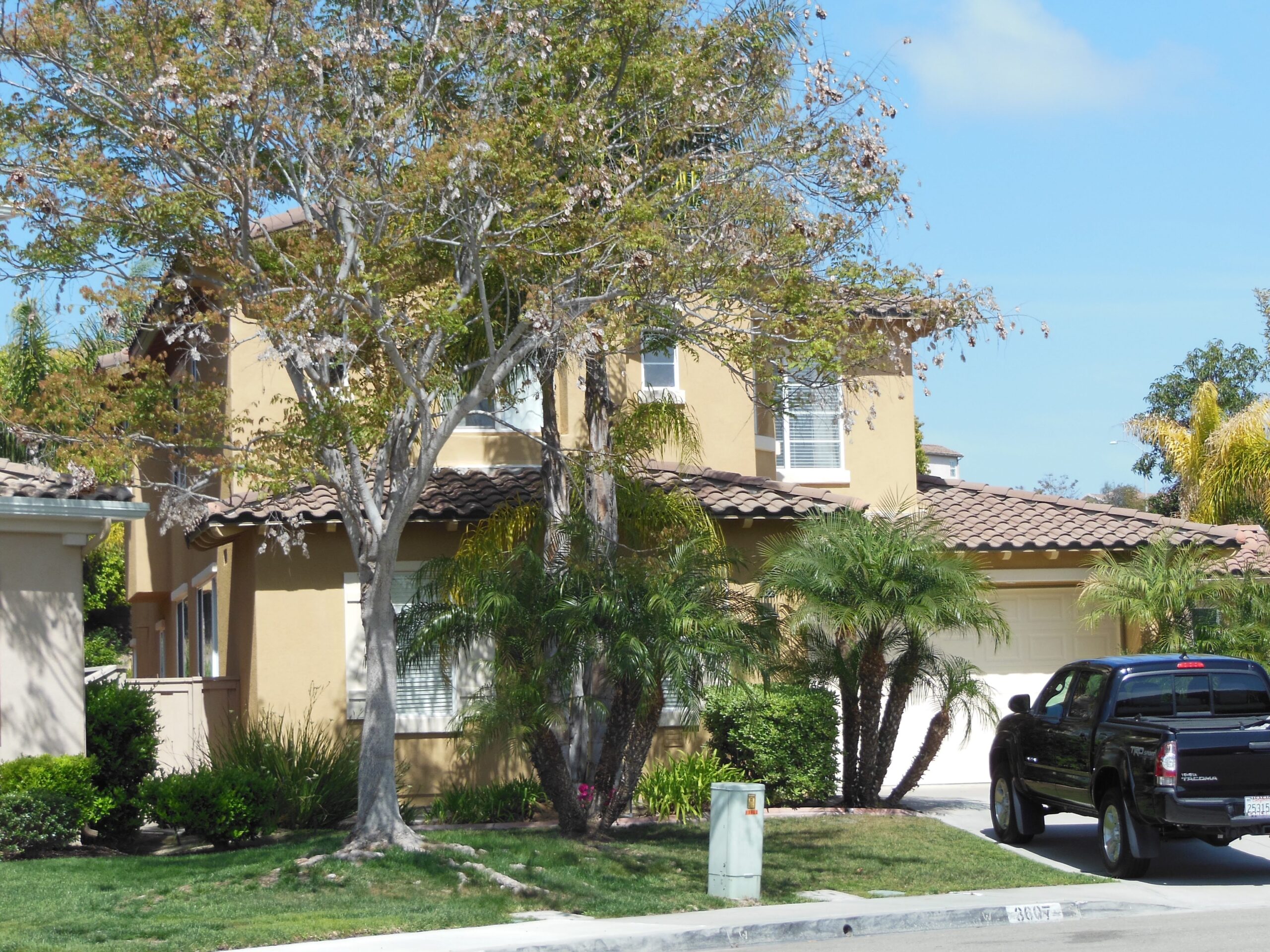 House Painters Near Me