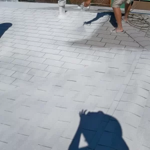 Home Painting near me