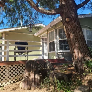 Home Painting near me