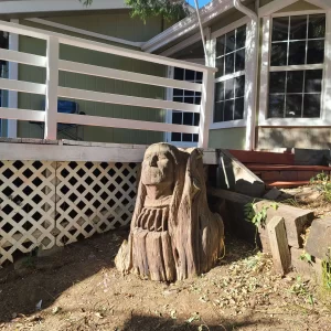 San Diego House Painting