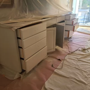 San Diego House Painting