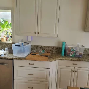 San Diego House Painting